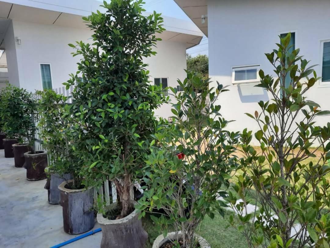 Pon Resort Ban Phe Exterior foto